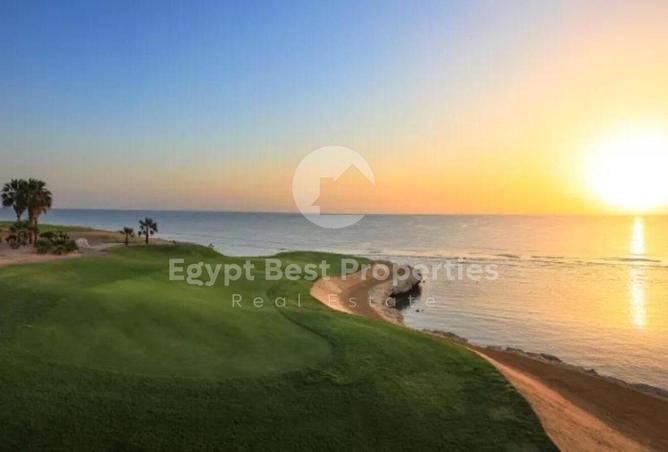 8173068 - Property Image 3