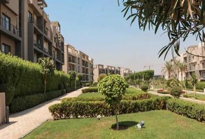 7911555 - Property Image 3
