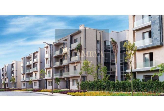 8041063 - Property Image 3