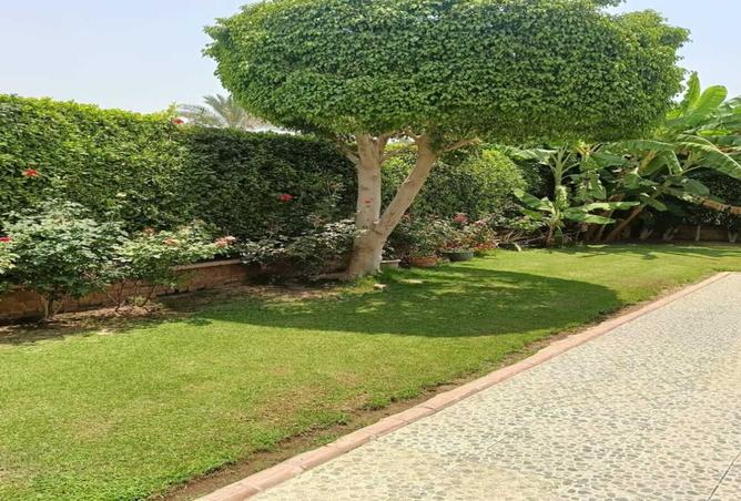 8181038 - Property Image 2