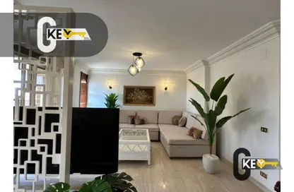 Apartment - 3 Bedrooms - 2 Bathrooms for rent in Degla Square - Degla - Hay El Maadi - Cairo