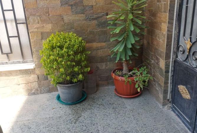 8085976 - صورة العقار 3