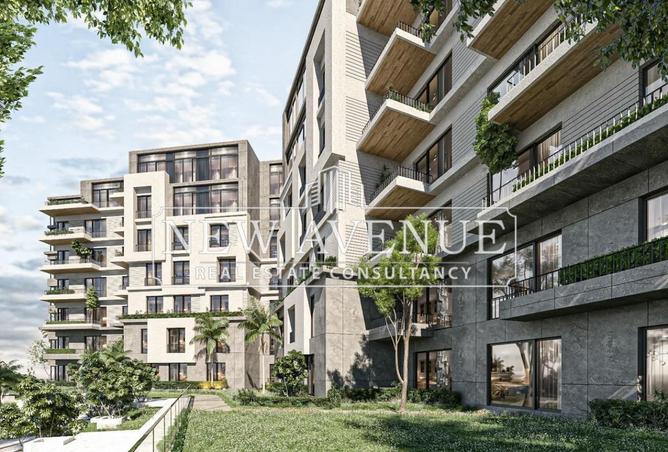 8186126 - Property Image 3