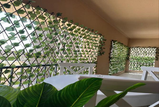 8259372 - Property Image 3