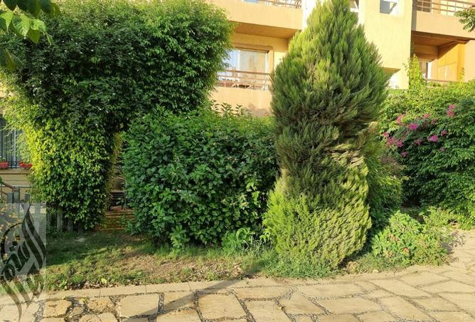 8182988 - صورة العقار 2