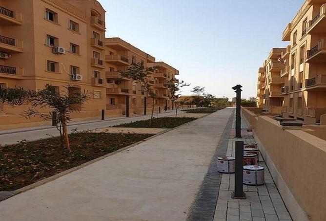7941626 - صورة العقار 3