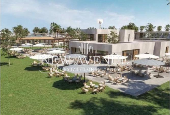 8399593 - Property Image 2