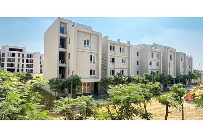 8298845 - صورة العقار 3