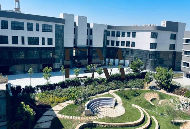 8197784 - Property Image 2