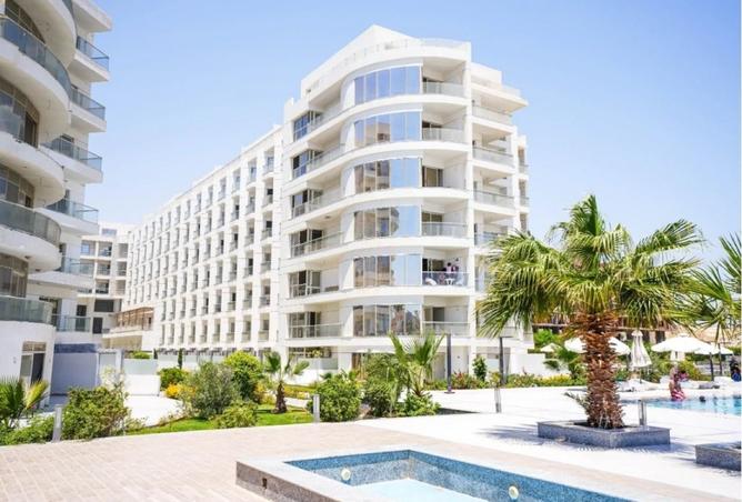 8165234 - Property Image 3