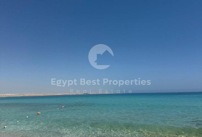 8421344 - Property Image 2