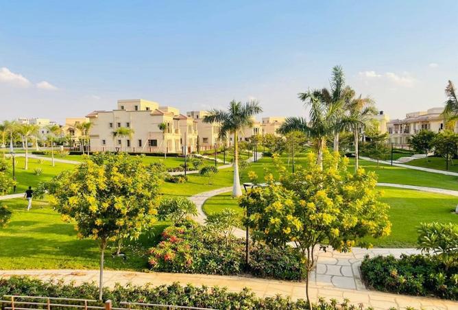8065663 - صورة العقار 2