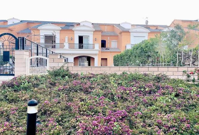 8239602 - صورة العقار 3