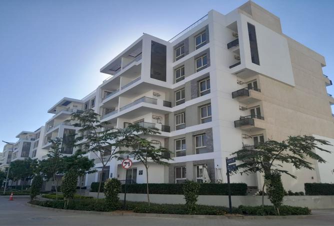 8003868 - Property Image 3