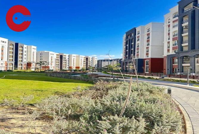 8549360 - Property Image 3