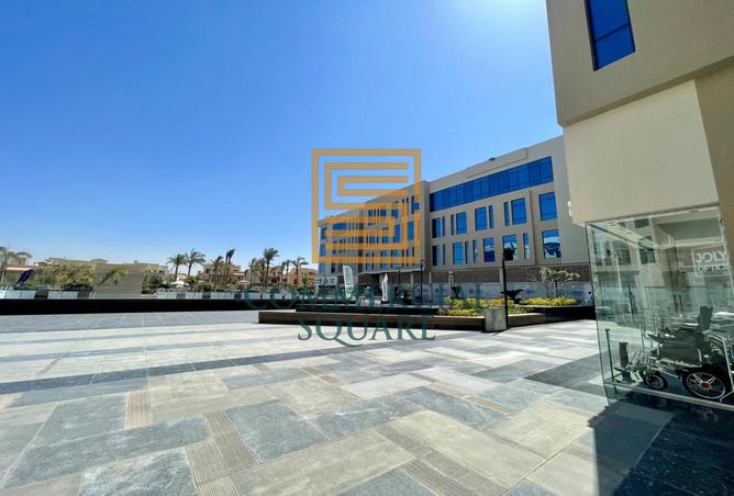 7990827 - Property Image 3