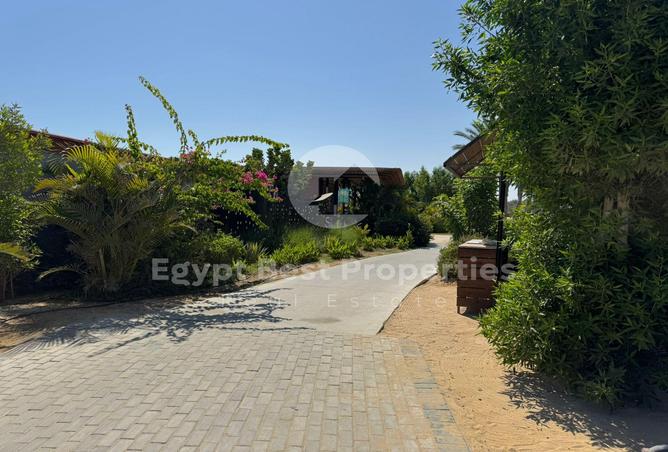 7992855 - الصورة الرئيسية للعقار