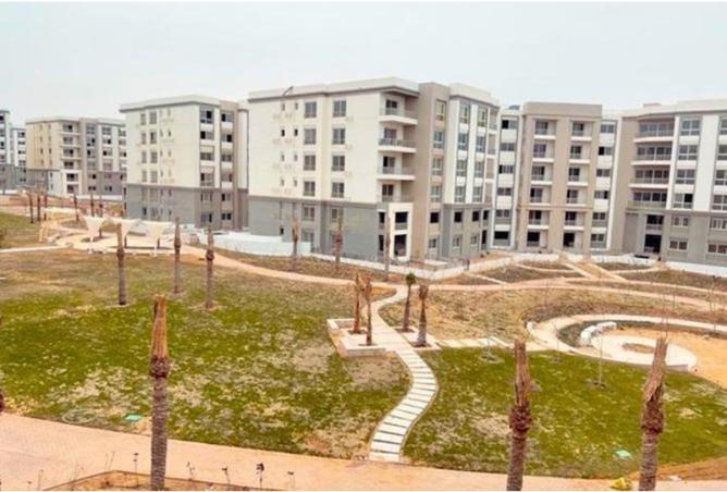 8058928 - صورة العقار 2