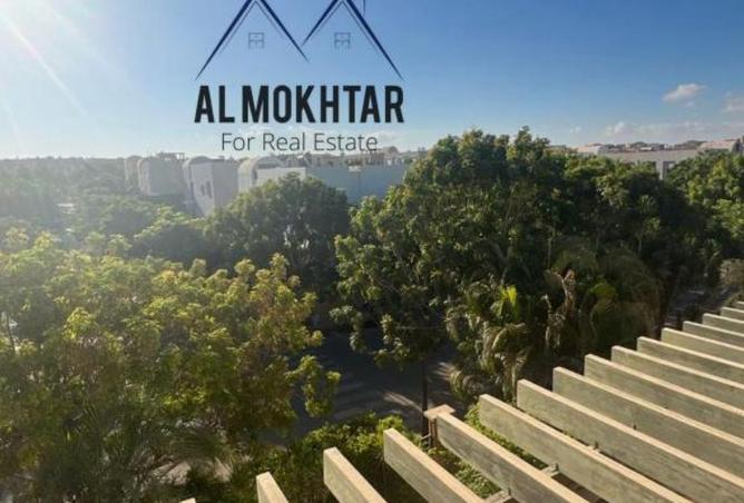 8184396 - Property Image 3