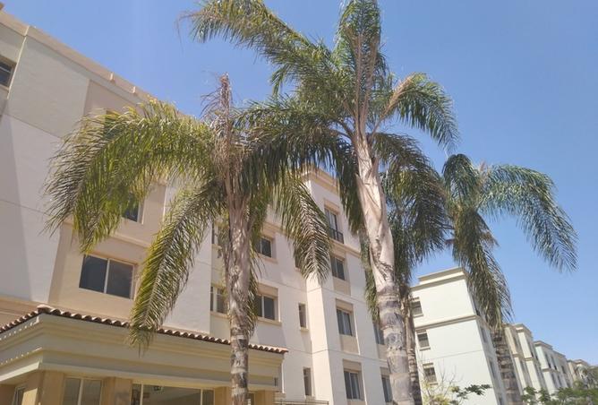 8350793 - Property Image 3