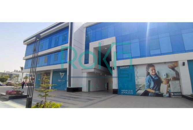 8245291 - صورة العقار 2