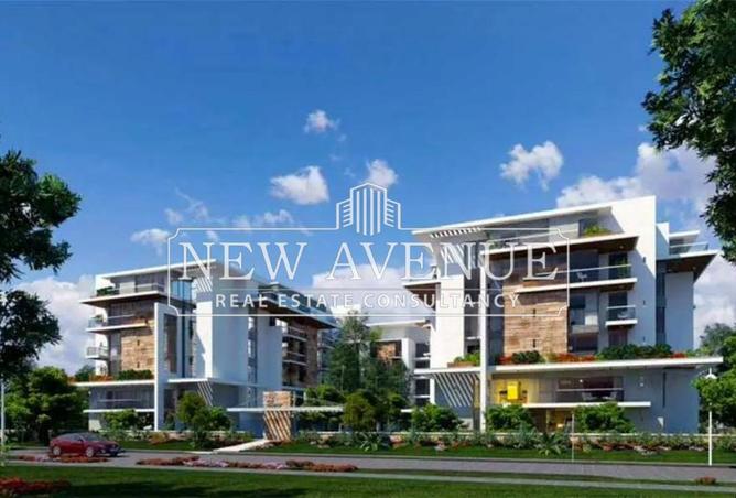 8252948 - Property Image 3