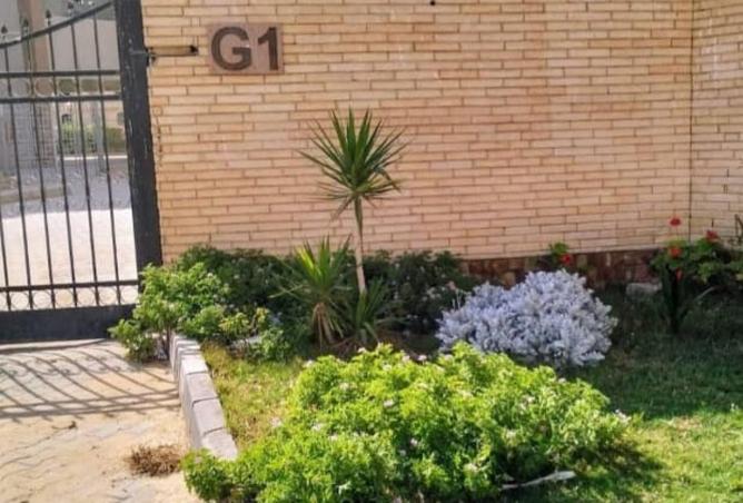 8323539 - Property Image 2