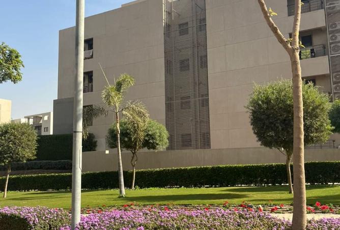 8162017 - صورة العقار 3