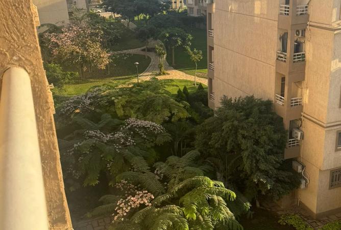 8231435 - صورة العقار 3