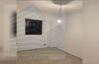 Medical Facility - Studio - 2 Bathrooms for rent in Al Mosheer Ahmed Badawy St. - Moharam Bek - Hay Wasat - Alexandria