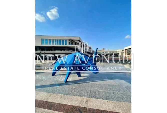 8186708 - Property Image 3