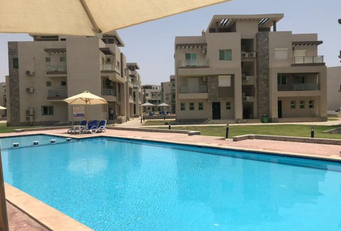 8417519 - Property Image 2