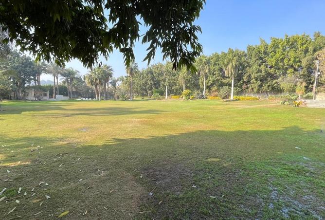 8460945 - الصورة الرئيسية للعقار