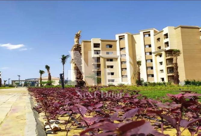 7869053 - صورة العقار 2