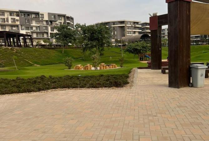 7914288 - Property Image 3