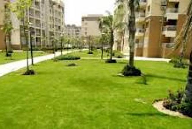 8441658 - صورة العقار 3