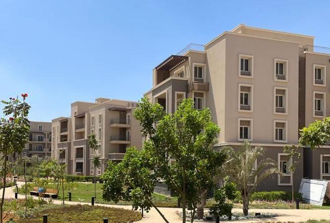 8035914 - Property Image 3