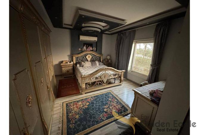 8035117 - Property Image 3