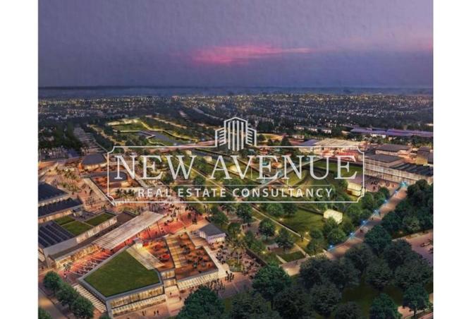 8195444 - صورة العقار 3