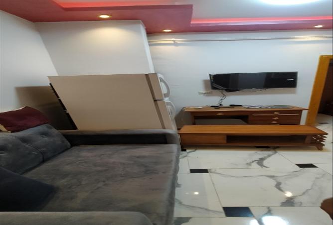 4233830 - صورة العقار 3