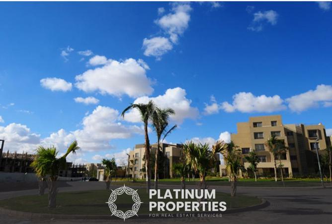 8227362 - Property Image 3