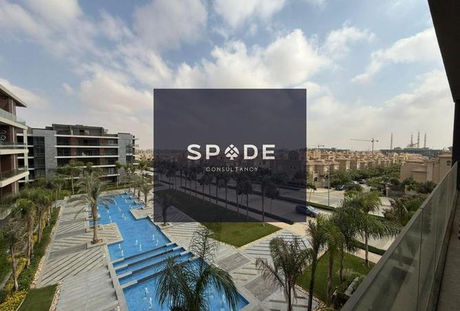 8235580 - Property Image 3