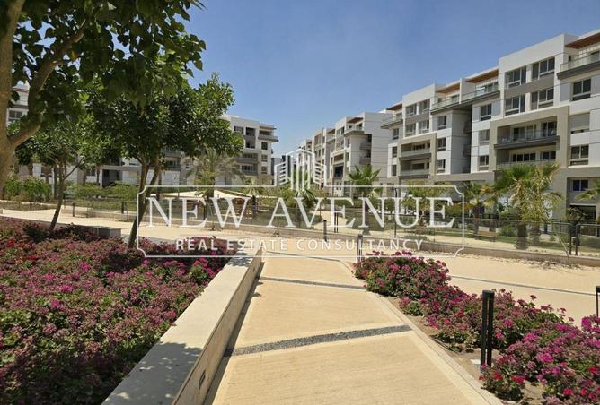 8427533 - Property Image 3