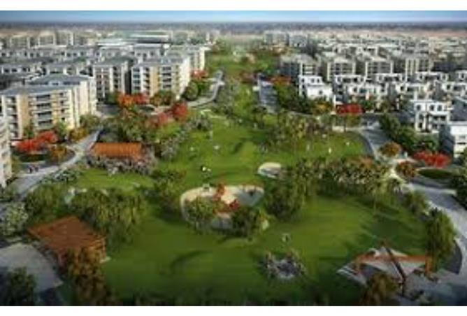 8130388 - صورة العقار 2