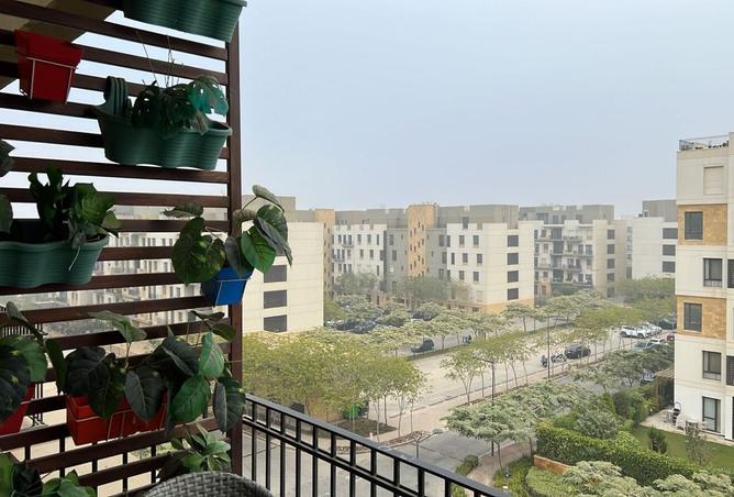 8132335 - Property Image 3