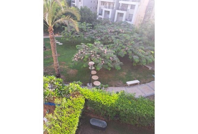 8051007 - Property Image 3