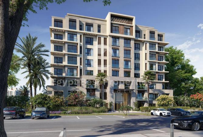 8175879 - Property Image 3