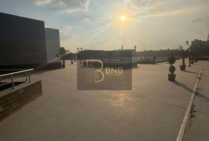 8419845 - Property Image 3