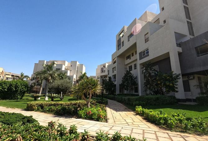 8099929 - Property Image 2
