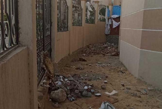 8066958 - صورة العقار 3